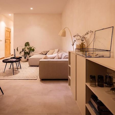 Appartement Met Tuin In Haarlem Centrum Exterior foto